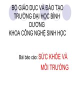 báo cáo sức khỏe và môi trường