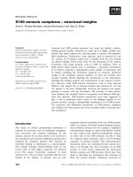 Tài liệu Báo cáo khoa học: S100–annexin complexes – structural insights pptx