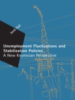 Tài liệu Unemployment Fluctuations and Stabilization Policies pdf