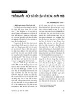 Tài liệu Báo cáo 