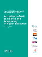 Tài liệu New Jnches Sustainability Issues Working Group An Insider’s Guide to Finance and Accounting in Higher Education docx