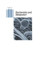 Tài liệu Plant physiology - Chapter 7 Photosynthesis: The Light Reactions pptx