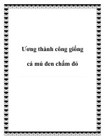 Tài liệu Ương thành công giống cá mú đen chấm đỏ doc