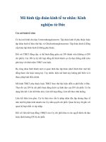 Tài liệu Mô hình tập đoàn kinh tế tư nhân: Kinh nghiệm từ Đức pdf