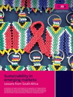 Sustainability in emerging markets: Lessons from South Africa