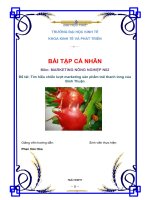 Tìm hiểu chiến lượt marketing sản phẩm trái thanh long của bình thuận