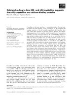 Tài liệu Báo cáo khoa học: Calcium-binding to lens bB2- and bA3-crystallins suggests that all b-crystallins are calcium-binding proteins pptx