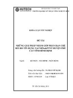 nhung giai phap nham gop phan han che rui ro tin dung tai nhno&ptnt cn huyen phu cat - tinh binh