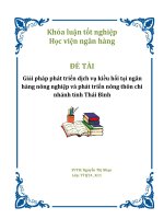 Giải pháp phát triển dịch vụ kiều hối tại ngân hàng nông nghiệp và phát triển nông thôn chi nhánh tỉnh Thái Bình