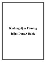 Tài liệu Kinh nghiệm Thương hiệu: DongA Bank pptx