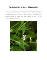 Tài liệu Xuyên tâm liên và những điều chưa biết ppt