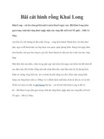 Tài liệu Bãi cát hình rồng Khai Long docx