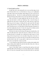 thực trạng và giải pháp cho hệ thống marketing của công ty cổ phần tràng an