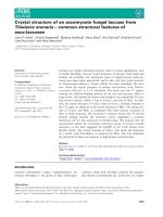 Tài liệu Báo cáo khoa học: Crystal structure of an ascomycete fungal laccase from Thielavia arenaria – common structural features of asco-laccases ppt