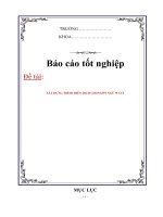 xây dựng trình biên dịch cho ngôn ngữ wave