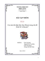 Tài liệu Tiểu luận:Các mức độ nhận thức theo Bloom trong chủ đề Quan hệ vuông góc pptx