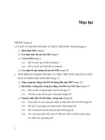 giải pháp huy động vốn đầu tư trực tiếp nước ngoài trong thời gian tới