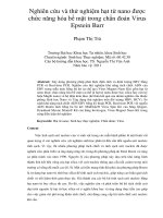 Nghiên cứu và thử nghiệm hạt từ nano được chức năng hóa bề mặt trong chẩn đoán virus epstein barr