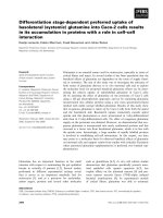 Tài liệu Báo cáo khoa học: Differentiation stage-dependent preferred uptake of basolateral (systemic) glutamine into Caco-2 cells results in its accumulation in proteins with a role in cell–cell interaction pptx