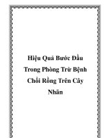 Tài liệu Hiệu Quả Bước Đầu Trong Phòng Trừ Bệnh Chổi Rồng Trên Cây Nhãn ppt