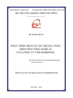 Phát triển dịch vụ giá trị gia tăng trên nền công nghệ 3g của công ty thông tin di động VMS   mobifone