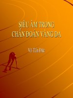 Tài liệu Siêu âm trong chẩn đoán vàng da pot