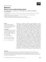 Tài liệu Báo cáo khoa học: Melatonin Nature’s most versatile biological signal? pdf