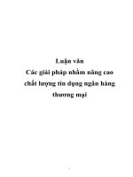 Tài liệu Luận văn: Các giải pháp nhằm nâng cao chất lượng tín dụng ngân hàng thương mại doc