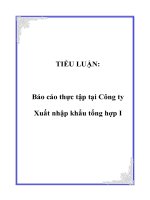 Tài liệu TIỂU LUẬN: Báo cáo thực tập tại Công ty Xuất nhập khẩu tổng hợp I ppt