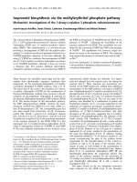 Tài liệu Báo cáo khoa học: Isoprenoid biosynthesis via the methylerythritol phosphate pathway Mechanistic investigations of the 1-deoxy-D-xylulose 5-phosphate reductoisomerase ppt