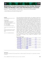 Tài liệu Báo cáo khoa học: Modulation of sterol homeostasis by the Cdc42p effectors Cla4p and Ste20p in the yeast Saccharomyces cerevisiae pptx