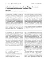 Tài liệu Báo cáo khóa học: Active-site residues and amino acid speciﬁcity of the bacterial 4¢-phosphopantothenoylcysteine synthetase CoaB pptx