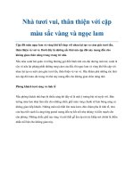 Tài liệu Nhà tươi vui, thân thiện với cặp màu sắc vàng và ngọc lam docx