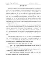 hoàn thiện công tác lập kế hoạch kiểm toán trong kiểm toán tài chính do công ty tnhh kiểm toán trường thành thực hiện