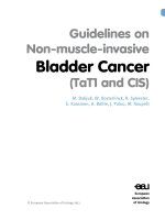 Tài liệu Guidelines on Non-muscle-invasive Bladder Cancer (TaT1 and CIS) ppt