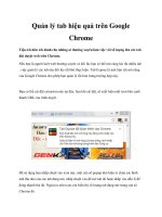 Tài liệu Quản lý tab hiệu quả trên Google Chrome pot