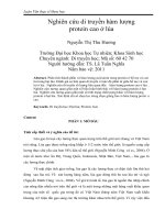 Nghiên cứu di truyền hàm lượng protein cao ở lúa