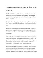 Tài liệu Ngân hàng điện tử và cuộc chiến với nỗi sợ mơ hồ doc