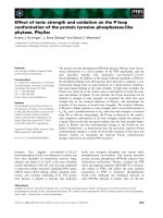 Tài liệu Báo cáo khoa học: Effect of ionic strength and oxidation on the P-loop conformation of the protein tyrosine phosphatase-like phytase, PhyAsr docx