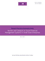 Barriers and Catalysts to Sound Financial Management Systems in Small Sized Enterprises
