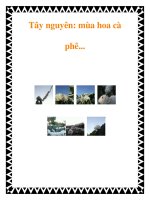 Tài liệu Tây nguyên: mùa hoa cà phê... pot