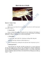 Tài liệu Bệnh tôm do vi khuẩn docx