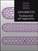 Tài liệu ADSORBENTS: FUNDAMENTALS AND APPLICATIONS pdf
