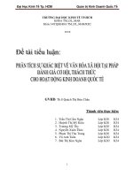 Tài liệu Tiểu luận:Tìm hiểu sự khác biệt văn hóa xã hội Pháp doc