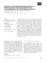 Tài liệu Báo cáo khoa học: Enzymes for the NADPH-dependent reduction of dihydroxyacetone and D-glyceraldehyde and L-glyceraldehyde in the mould Hypocrea jecorina doc