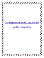 Tài liệu Tác dụng cây bạch hoa xà – Cây bạch hoa xà chữa bệnh ngoài da doc
