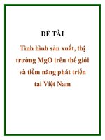 tình hình sản xuất, thị trường mgo trên thế giới và tiềm năng phát triển tại việt nam