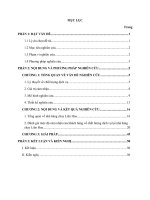 Đánh giá mức độ cảm nhận về chất lượng dịch vụ tại nhà hàng chay liên hoa huế