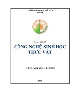 Tài liệu Giáo trình sinh học thực vật potx
