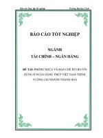 PHÒNG NGỪA VÀ HẠN CHẾ RỦI RO TÍN DỤNG Ở NGÂN HÀNG TMCP VIỆT NAM THỊNH VƯỢNG CHI NHÁNH THANH HOÁ